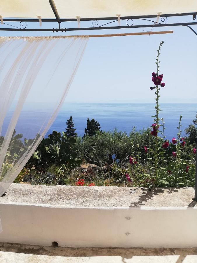 Alicudi Giardino Dei Carrubi- Al Gradino 365 Bed & Breakfast Екстериор снимка